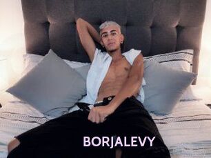 BORJALEVY
