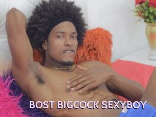 BOST_BIGCOCK_SEXYBOY