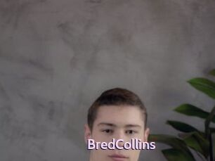BredCollins