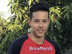 BriceMarsh