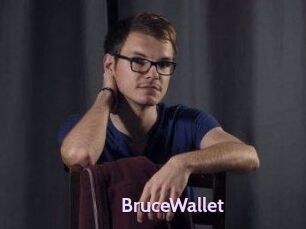 BruceWallet
