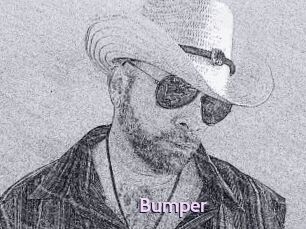 Bumper