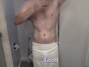 Bibud