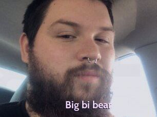 Big_bi_bear