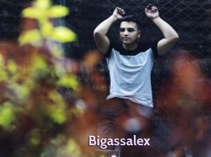 Bigassalex