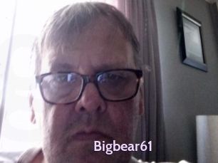 Bigbear61