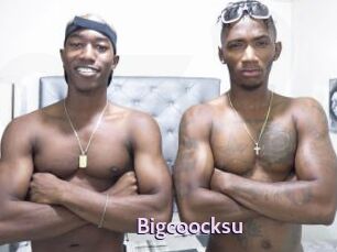 Bigcoocksu