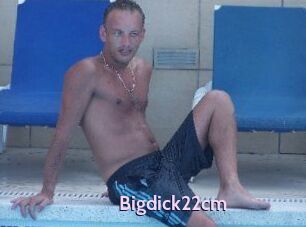 Bigdick22cm