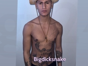 Bigdicksnake