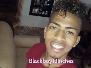 Blackboy12inches
