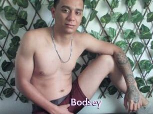 Bodsey