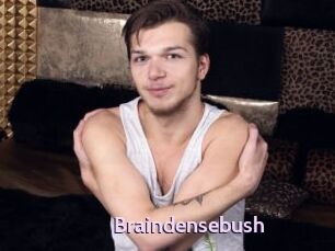 Braindensebush