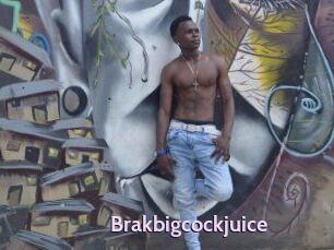 Brakbigcockjuice