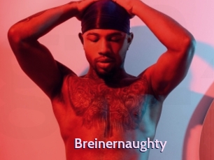 breinernaughty Gay Zone 24