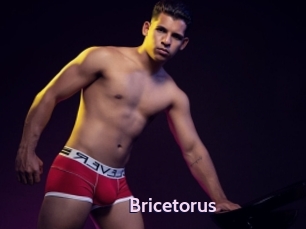 Bricetorus
