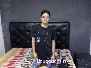 Brucearmin