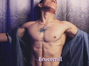 Brucemill