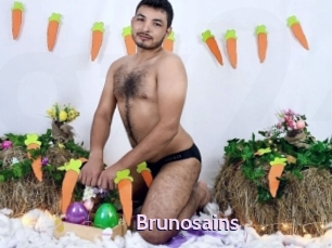 brunosains Gay Zone 24