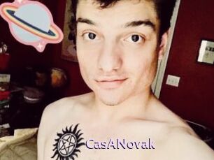 CasANovak Gay Zone 24