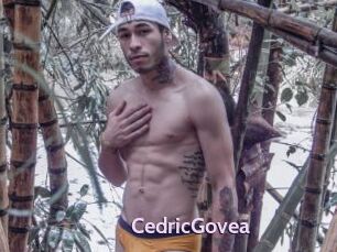 CedricGovea