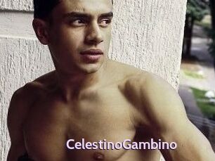 CelestinoGambino