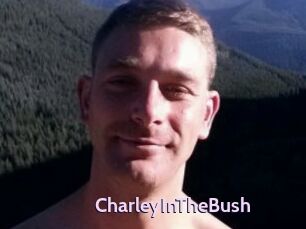 CharleyInTheBush
