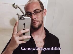 ConejoDragon8886