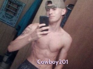 Cowboy201