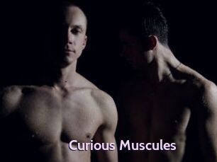 Curious_Muscules