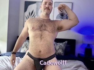 Cadewolff