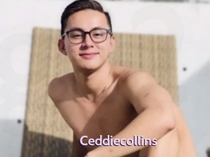 Ceddiecollins