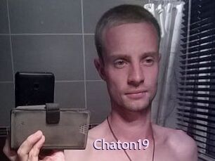 Chaton19