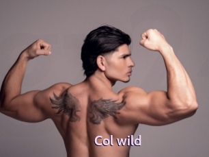 col_wild Gay Zone 24