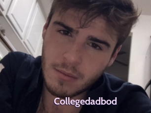 Collegedadbod