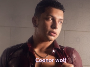 Coonor_wolf