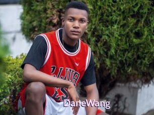 DaneWang