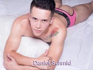 Daniel_Schmid