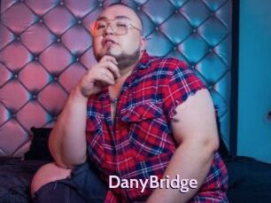 DanyBridge