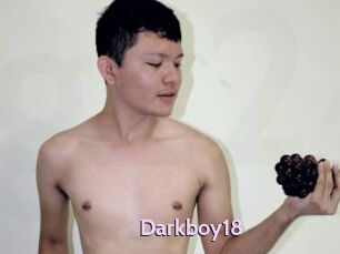 Darkboy18