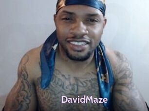 David_Maze