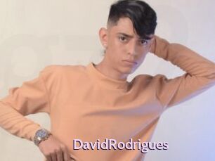 DavidRodrigues