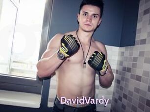 DavidVardy