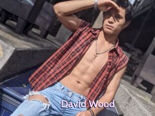 David_Wood