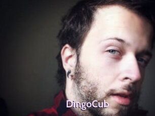 DingoCub