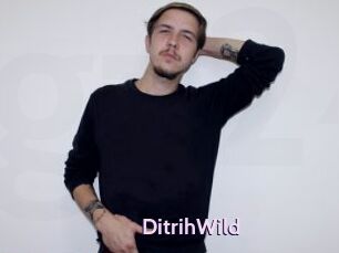 DitrihWild