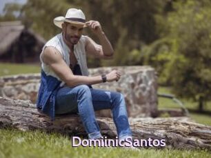 DomiinicSantos