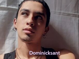 Dominicksant