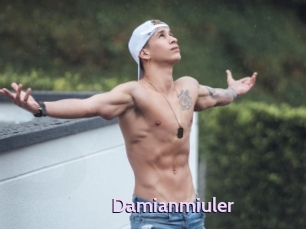 Damianmiuler