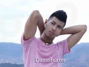 Damnfoxter
