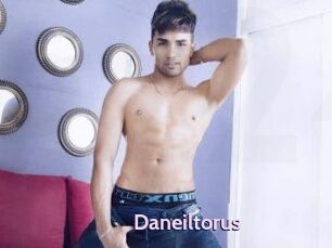 Daneil_torus